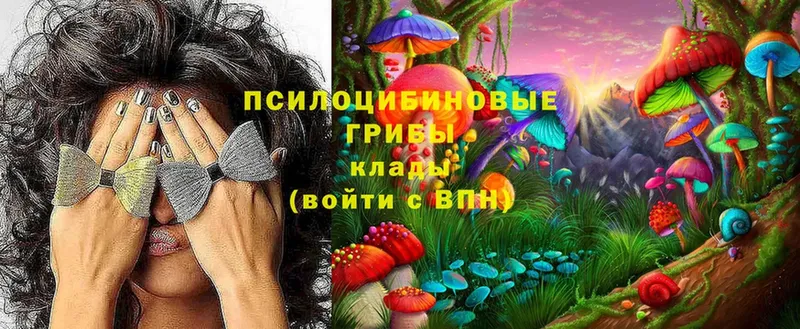 Галлюциногенные грибы Psilocybe Геленджик